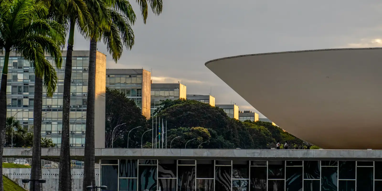Congresso se aproxima do recesso sem votar PEC 6x1 e PL da Misoginia