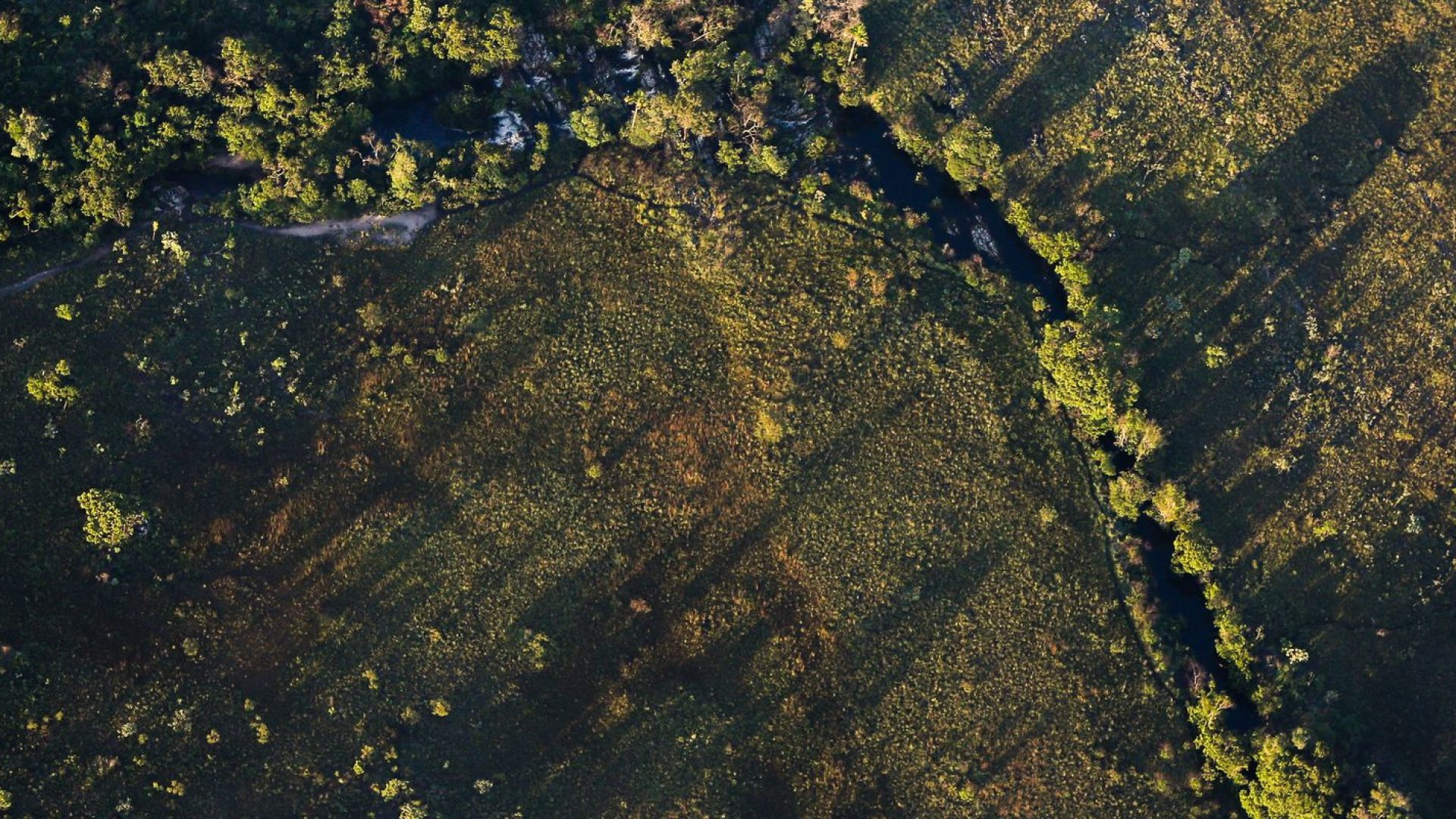 Financiamentos a projetos rurais sustentáveis terão juros mais baixos
