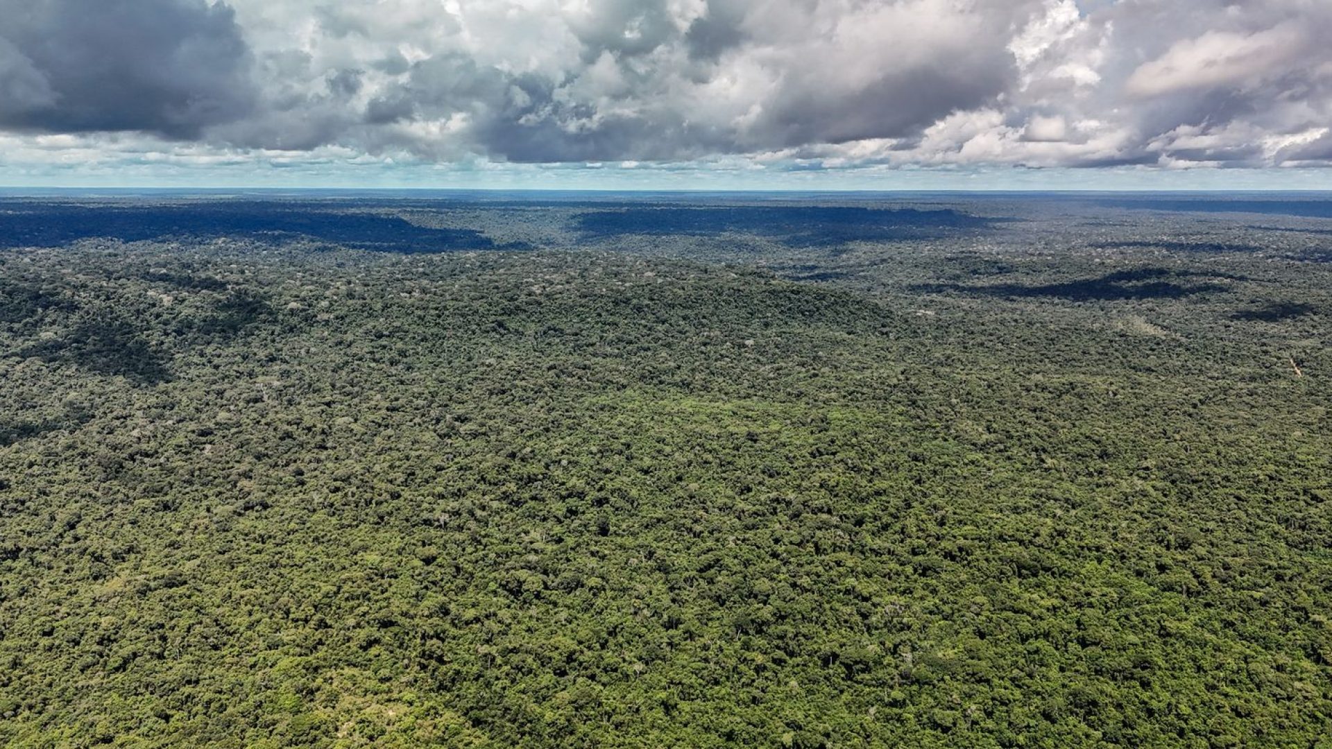 Devastação na Amazônia pode quebrar maior "máquina de chuva" do mundo