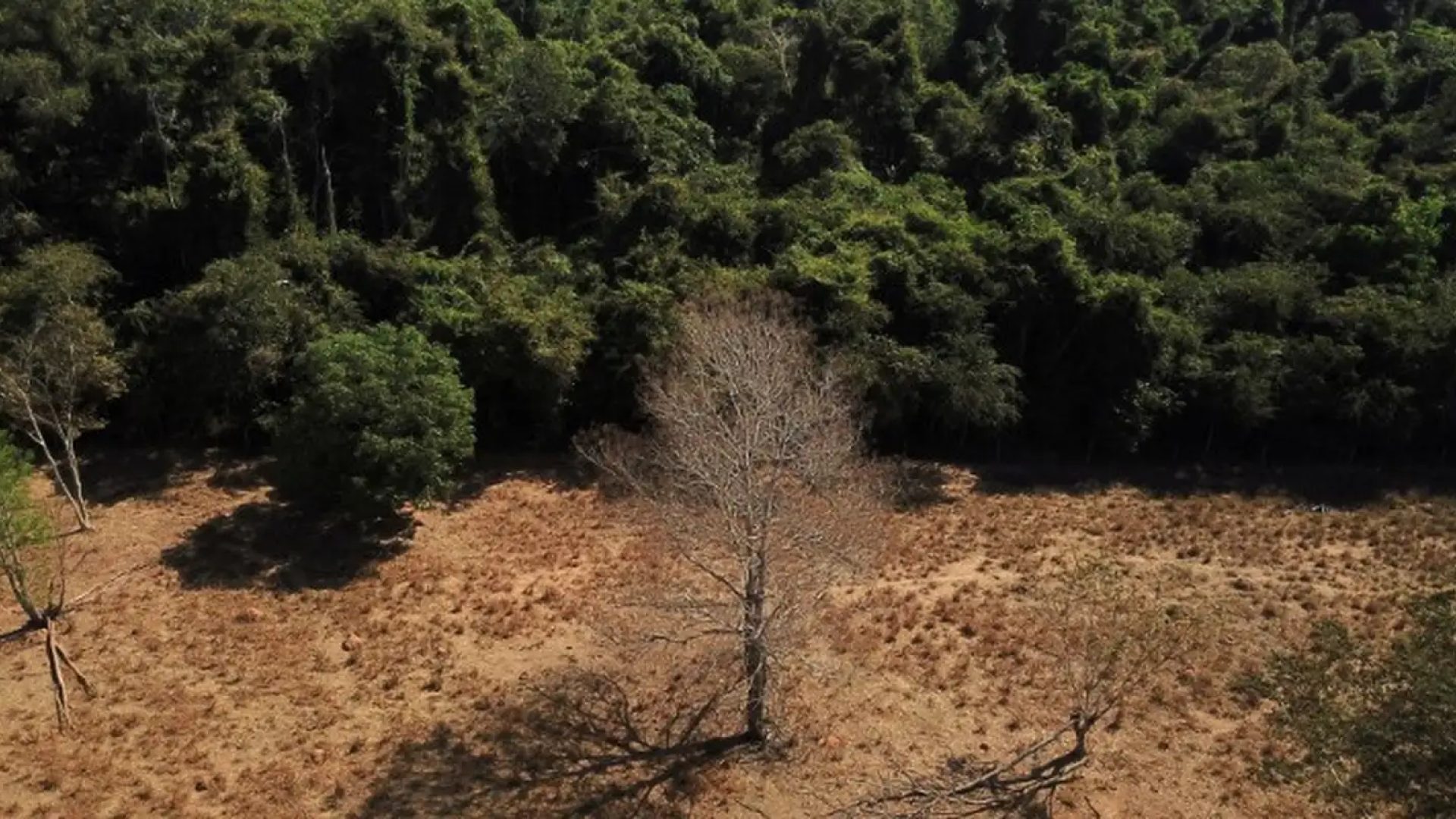 2023-01-04t011928z_1_lynxmpej0300u_rtroptp_3_brazil-environment.jpg