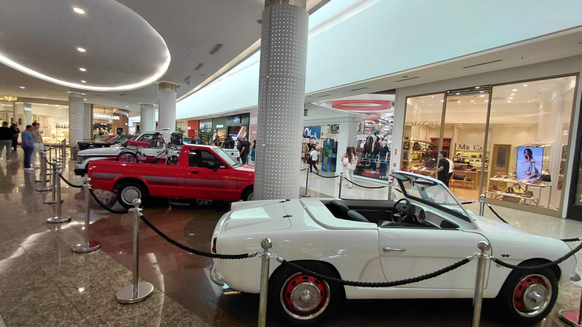 CARROS