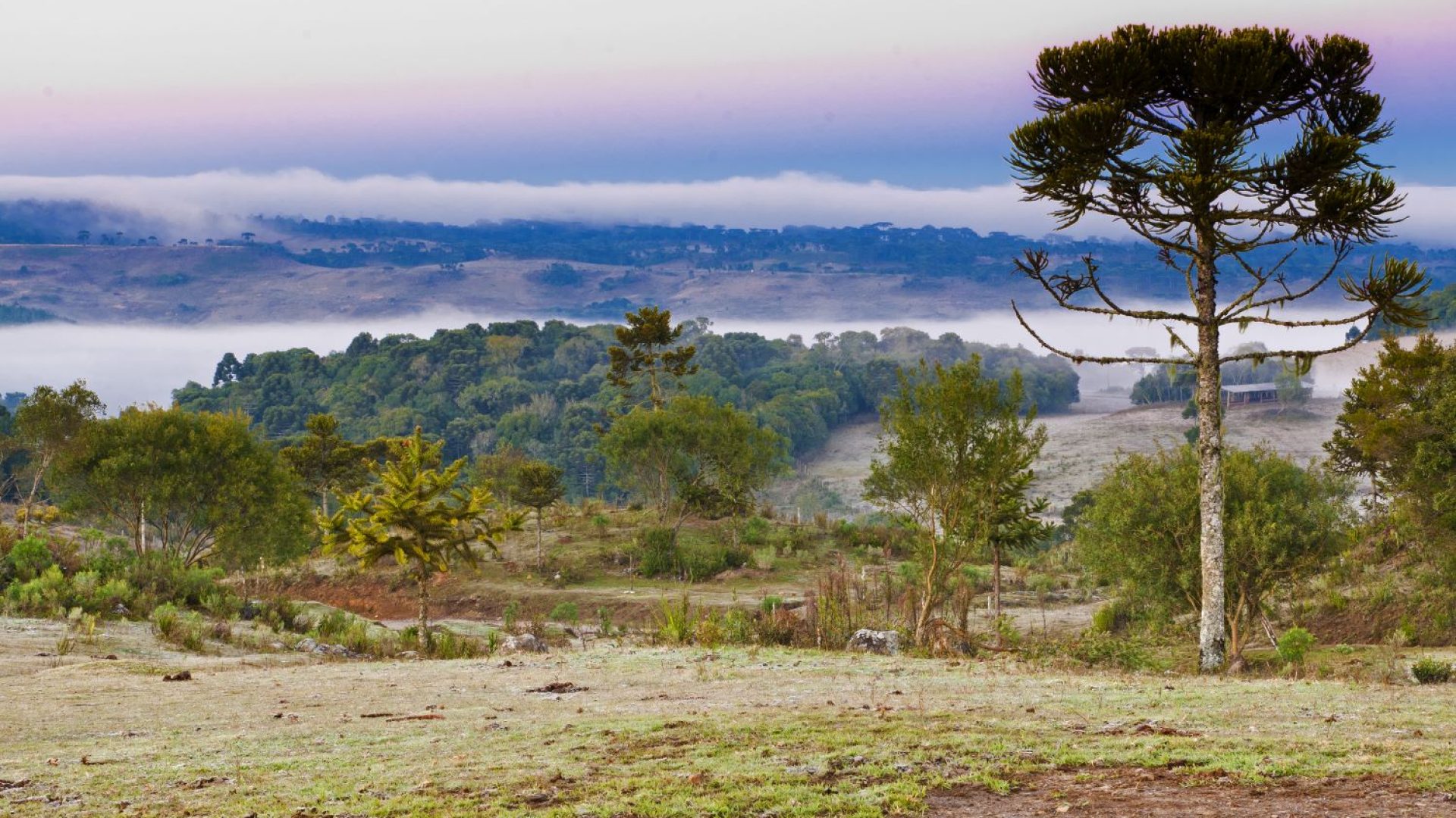 HOTEL-FAZENDA-BOQUEIRAO-AMANHECER-NA-SERRA_LAGES_NIK_7919_Makito.jpg