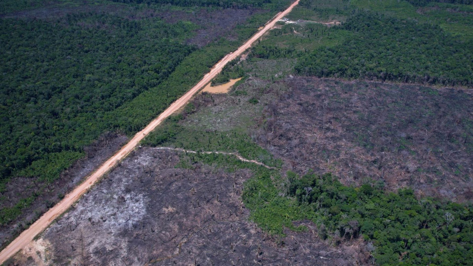 Eco Invest Brasil promove quinto leilão para financiar inovação