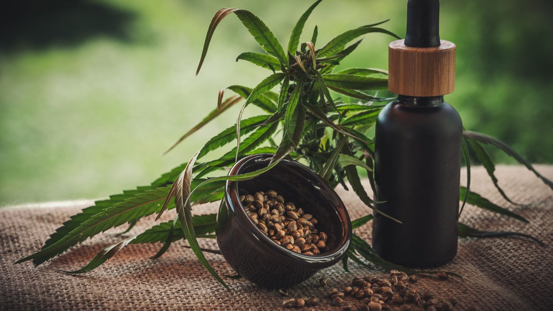 cbd-4474903.jpg