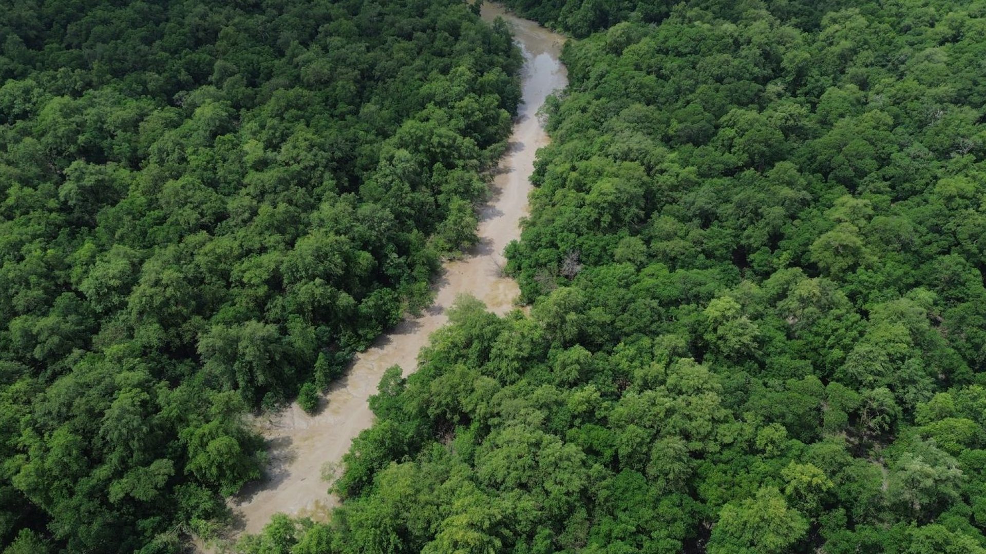 dji_0109.jpg