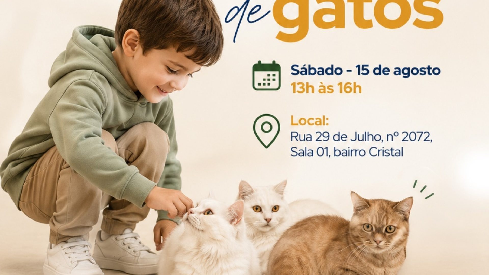 gatos