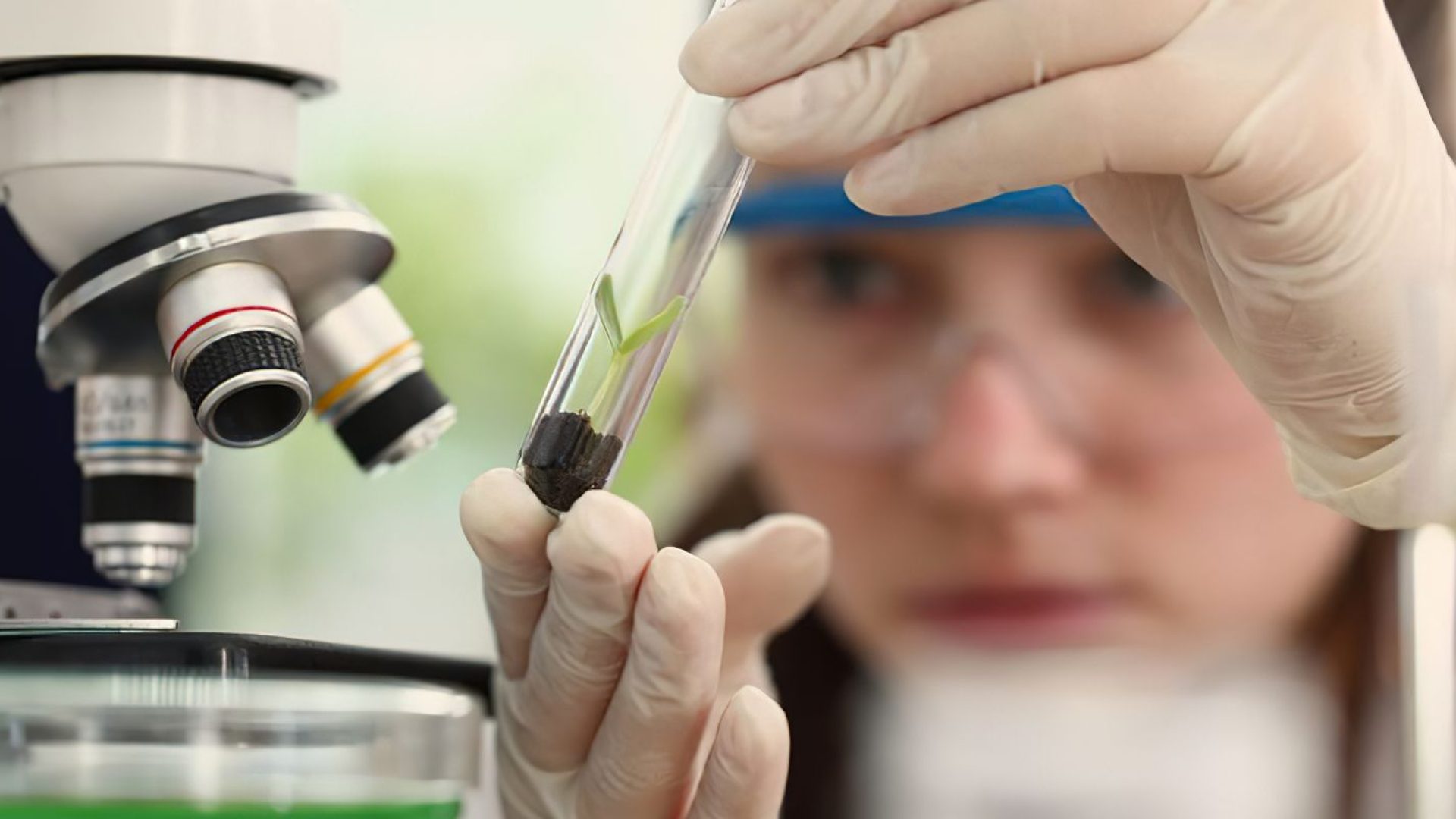 meninas_cientistas.jpg