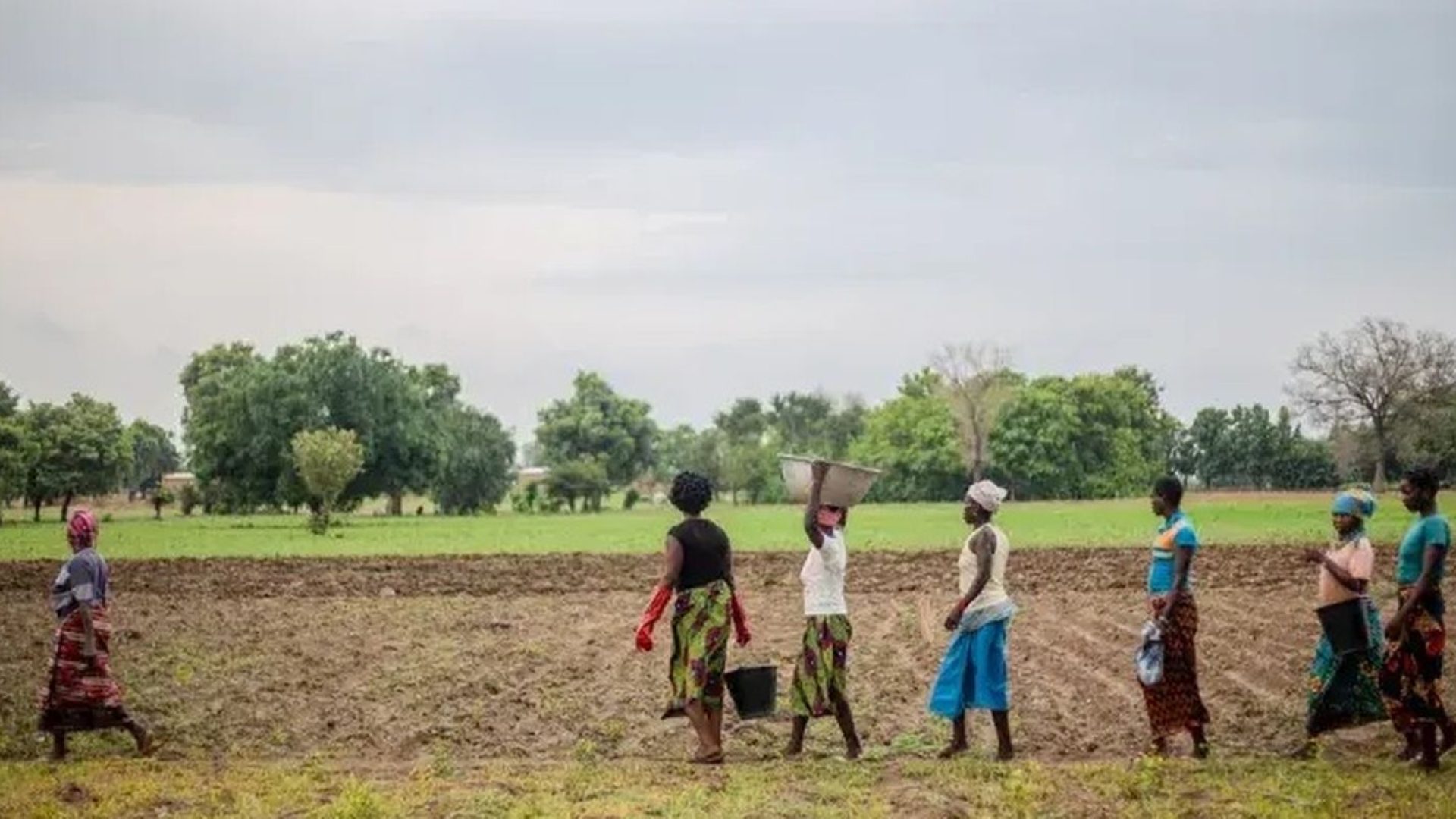 mulheres_beneficiadas_pelos_processos_de_restauracao_da_terra_em_burkina_faso.jpg