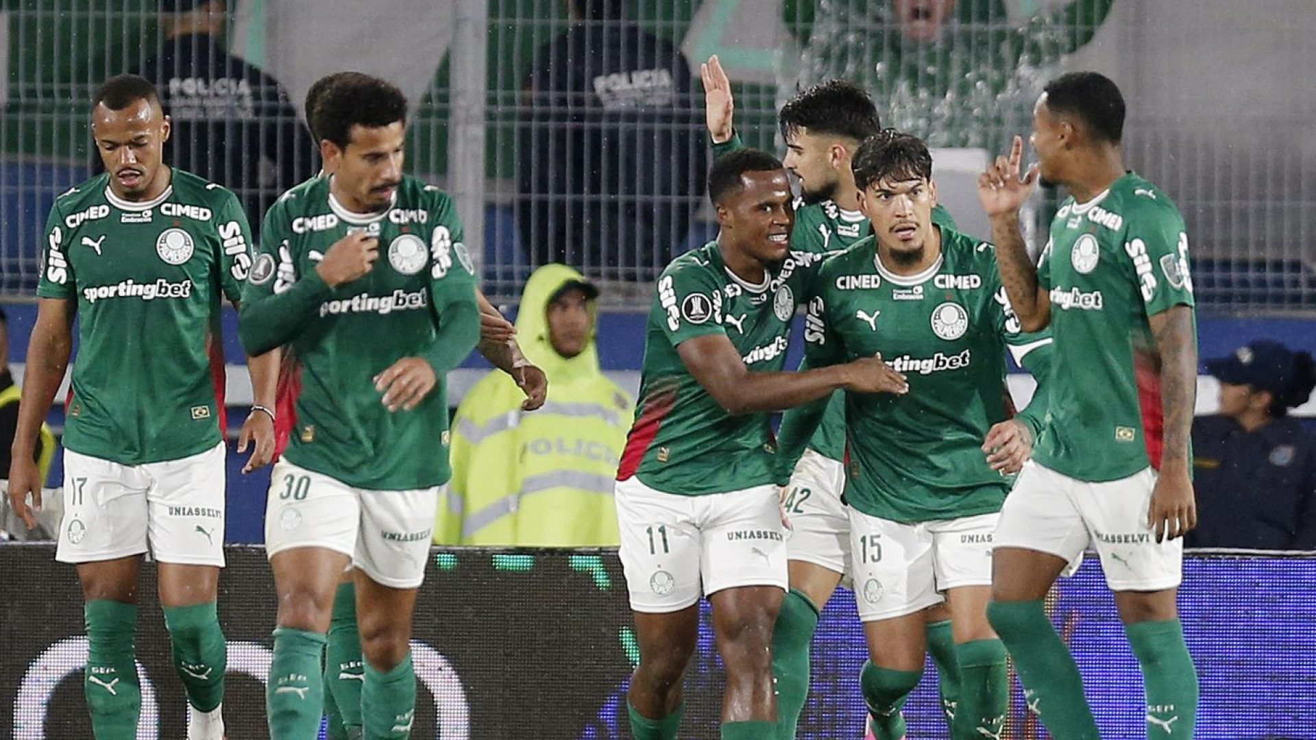 palmeiras_libertadores.jpg