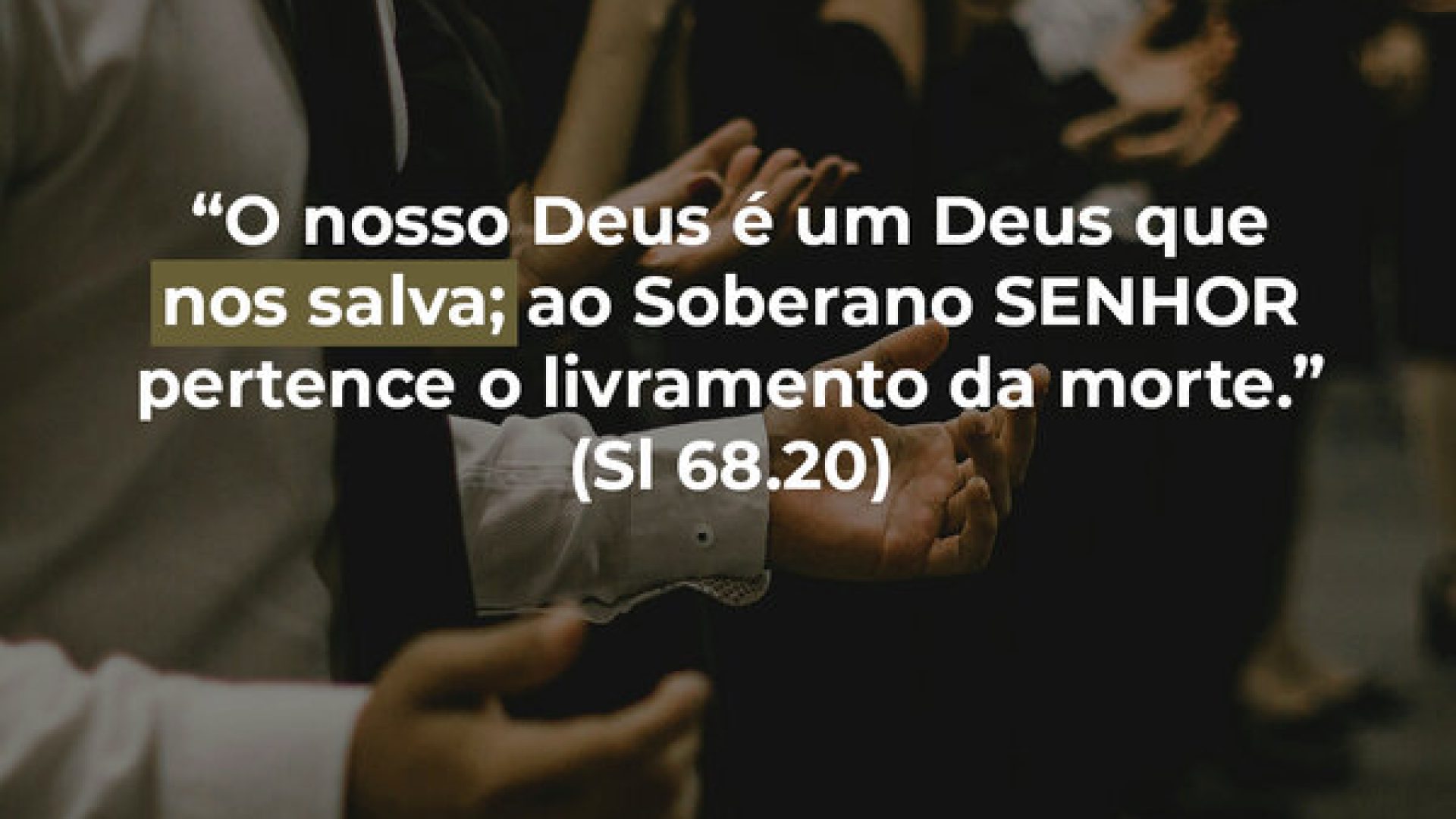 pd hoje