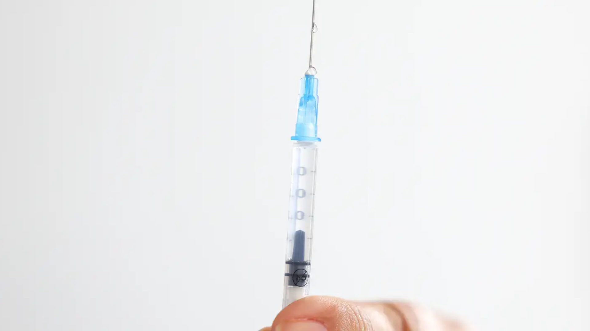 pzzb7912.jpg