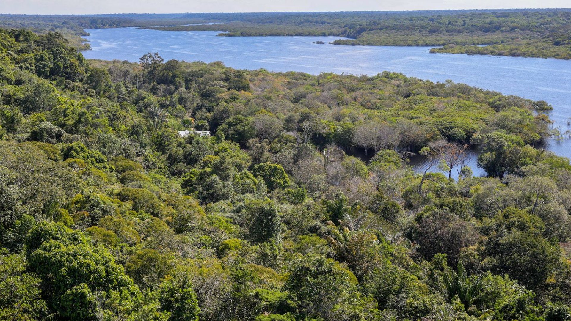 Fundo Amazônia quadruplica ritmo anual de aprovações desde 2023