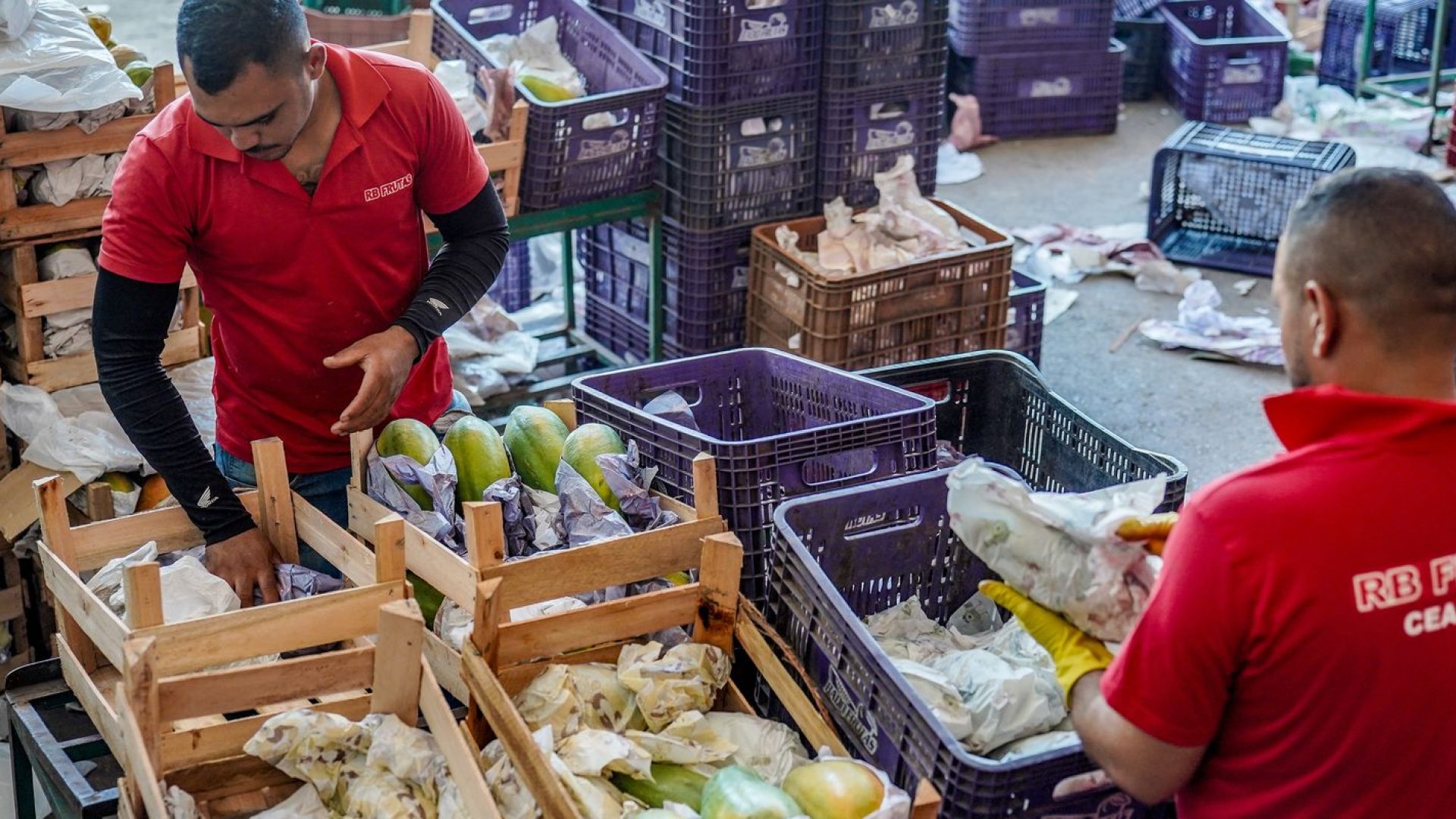 Governo anuncia crédito de R$ 97,3 bi para agricultores familiares