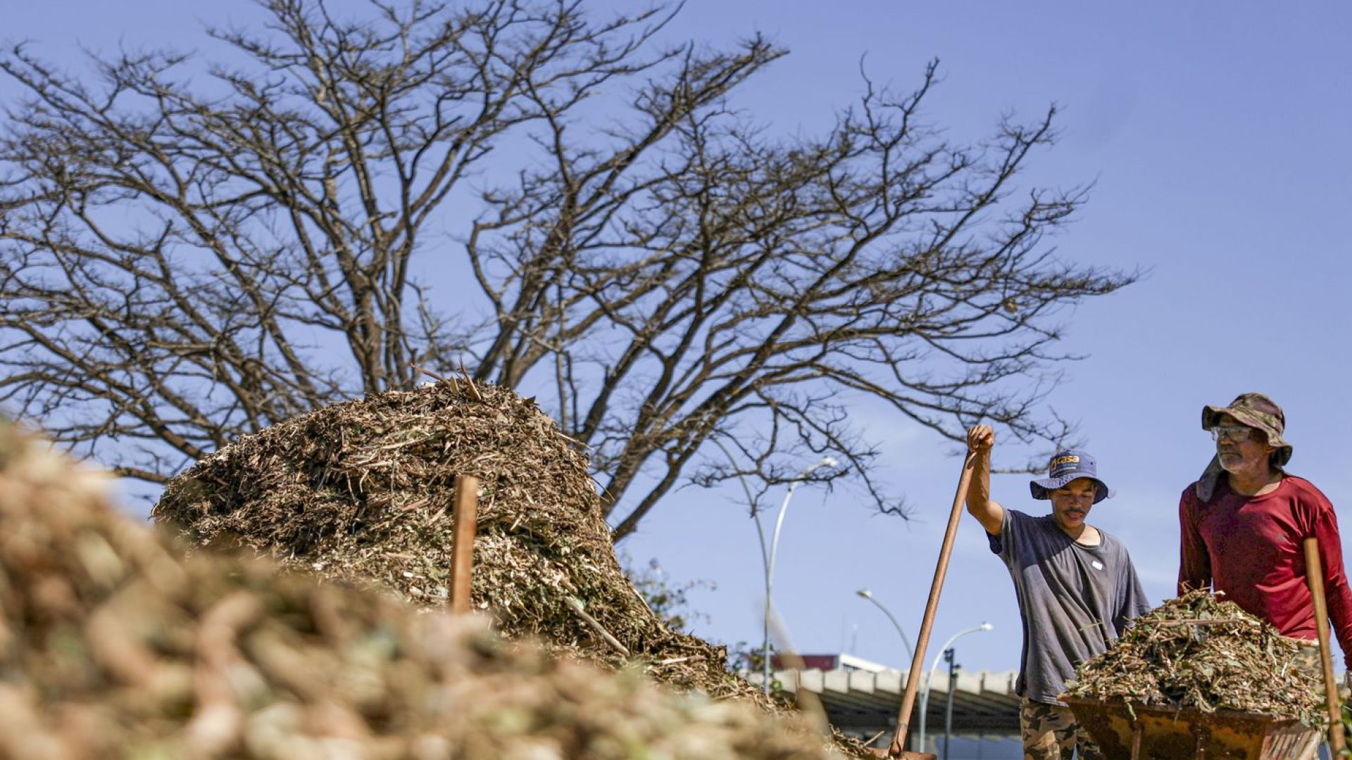Sistemas agroecológicos de quatro biomas são criados em Brasília