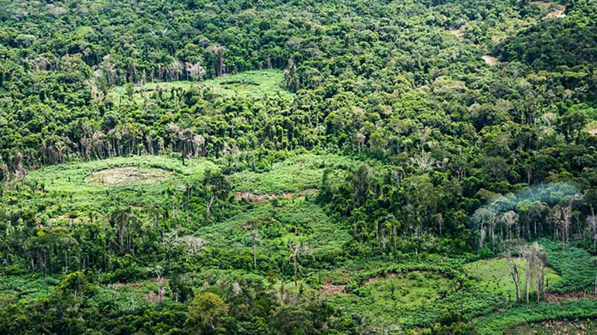 terra_indigena_ti_panara_na_amazonia01.jpg