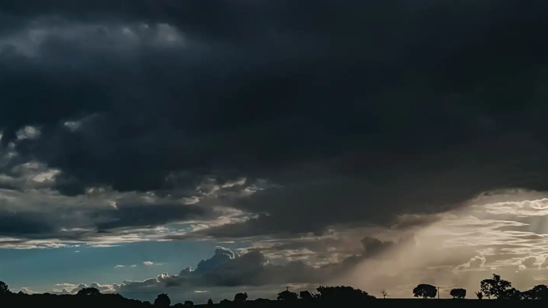 v0030538.jpg